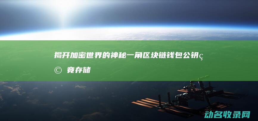 揭开加密世界的神秘一角 区块链钱包公钥究竟存储在何处 (揭开加密世界的秘密)