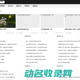 重庆娅迎电子商务有限公司