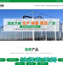 嫁接黄瓜苗